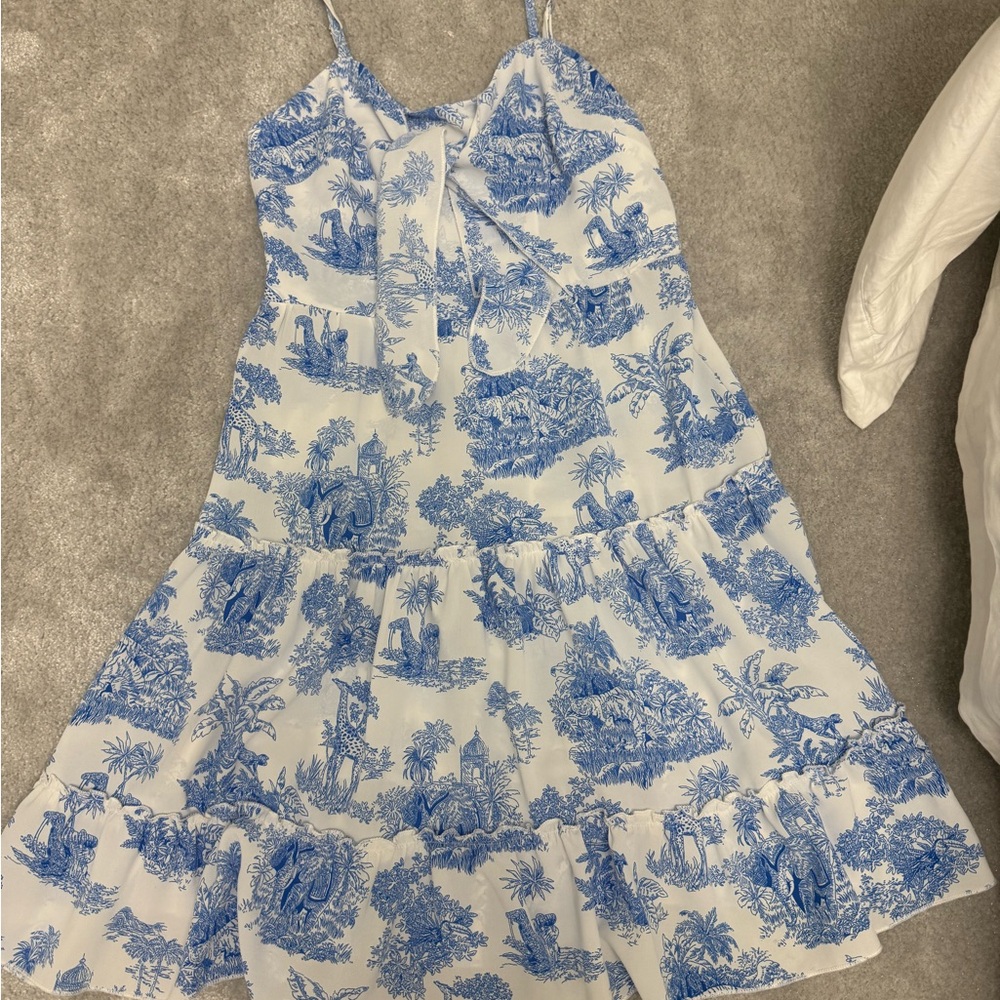 Cider Woman’s Dress in Blue and White Print